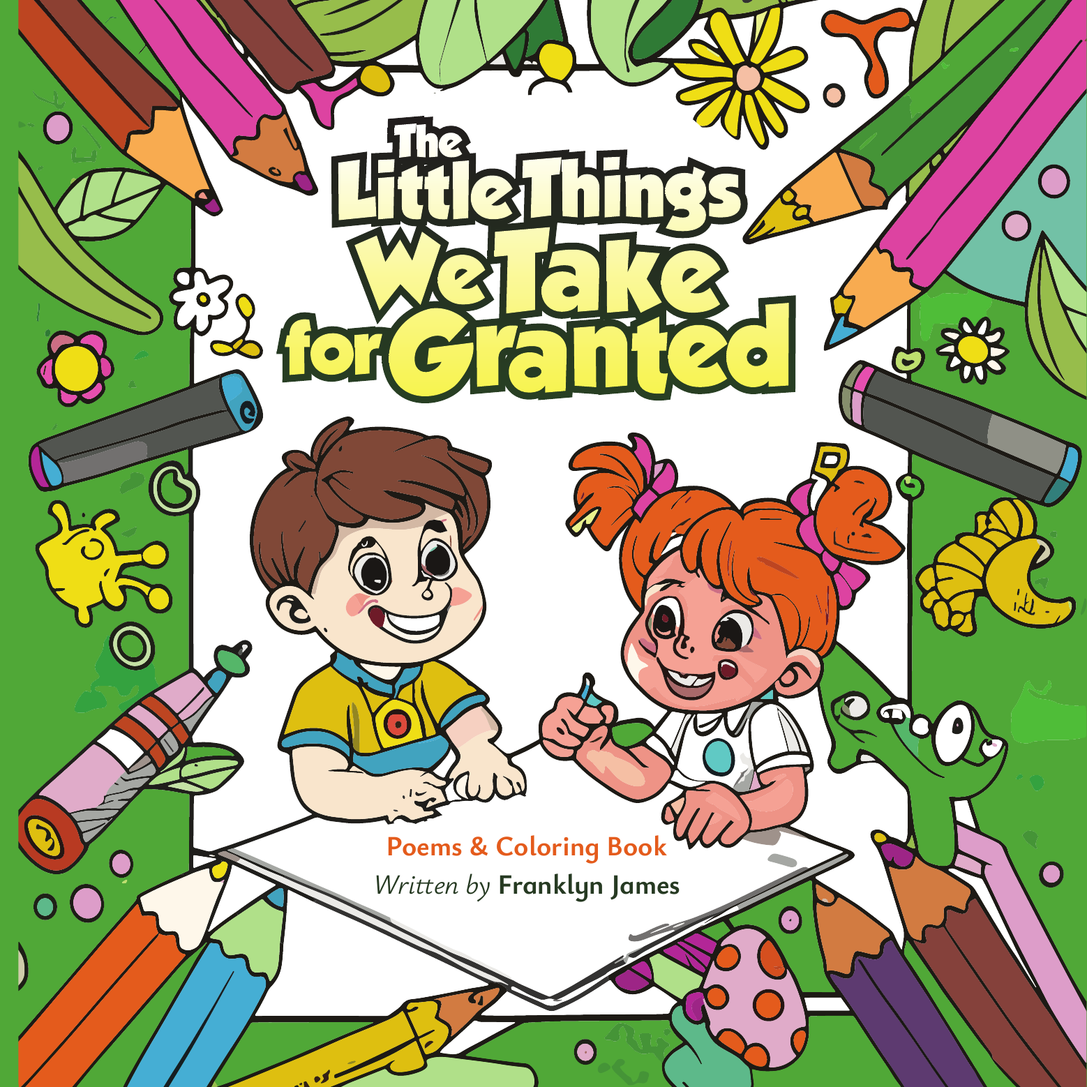 The Little Things We Take for Granted book cover
